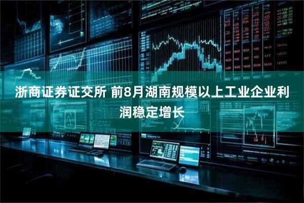 浙商证券证交所 前8月湖南规模以上工业企业利润稳定增长