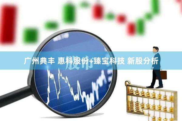 广州典丰 惠科股份+臻宝科技 新股分析